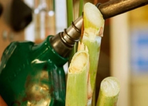 Bioetanol, eje clave de un encuentro regional