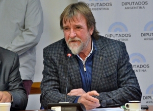 Rizzotti: &ldquo;Lo que queremos es federalizar el subsidio&rdquo;