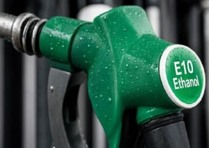 Biocombustibles l&iacute;quidos: cumbre panamericana clave en Panam&aacute;