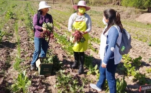 Capacitaron a huerteros juje&ntilde;os en producci&oacute;n de compost org&aacute;nico