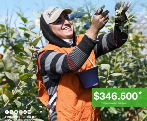 RENATRE aumenta prestación por desempleo a $ 346.500 desde el 1° de diciembre