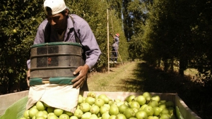 El Gobierno nacional elimin&oacute; las retenciones a productos de econom&iacute;as regionales