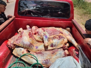 Operativos para erradicar delitos rurales